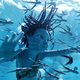 Let’s go underwater on Pandora.